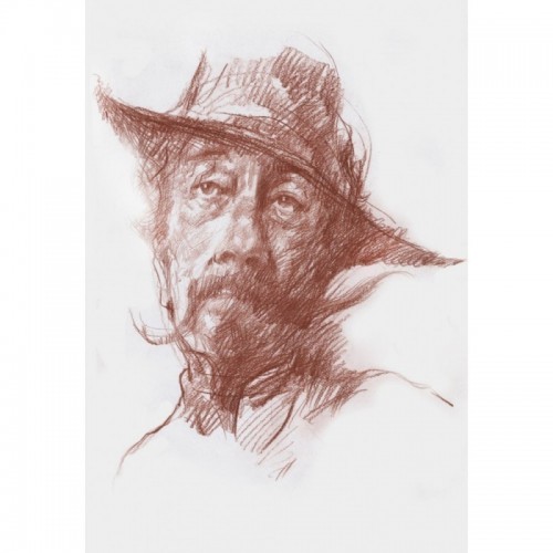 Don Quijote de la Mancha Version 2