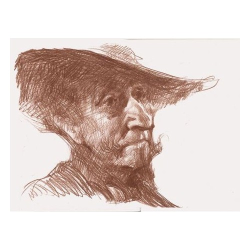 Don Quijote de la Mancha Version 5