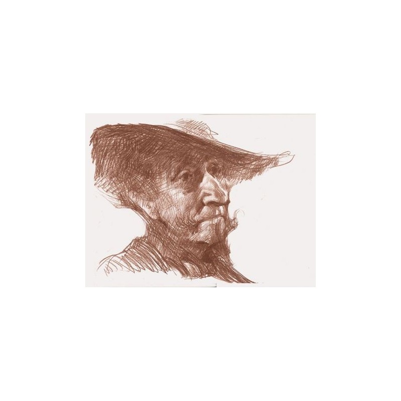 Don Quijote de la Mancha Version 5