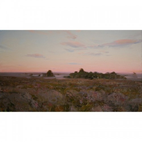 Morning steppe